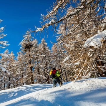 Grivel Monterosa Kar Hediği Size2 SSMROS.2.Y